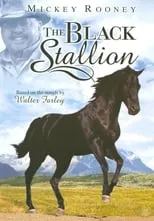 Poster de la película Adventures of the Black Stallion - Películas hoy en TV