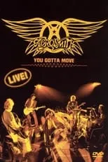 Poster de Aerosmith - You Gotta Move