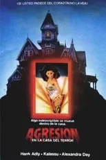 Película Agresión en la casa del terror