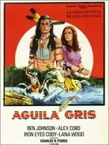 Poster de la película Aguila gris - Películas hoy en TV