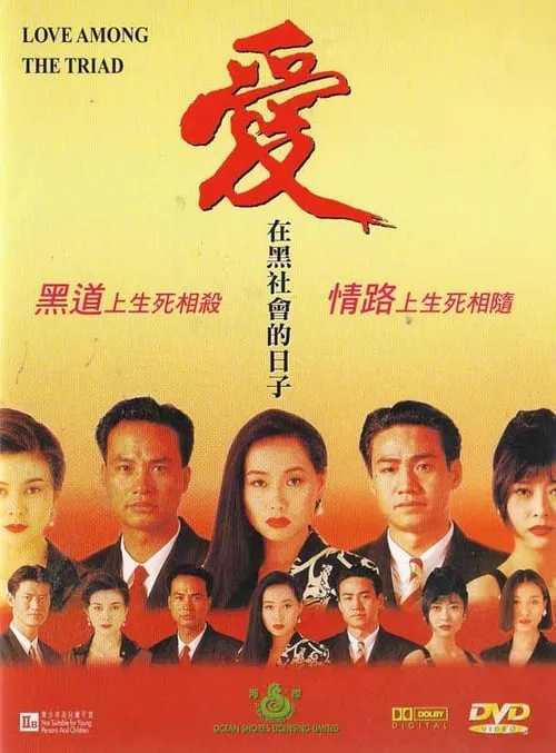 Póster de 爱在黑社会的日子