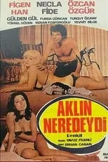 Película Aklın Neredeydi