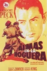 Poster de la película Almas en la hoguera - Películas hoy en TV