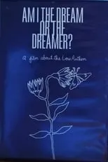 Película Am I The Dream or The Dreamer? : A Film About The Low Anthem