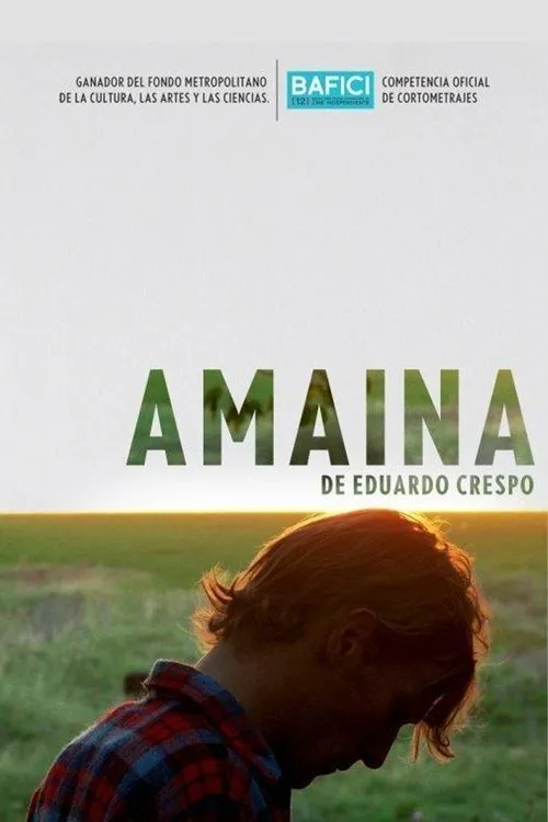 Póster de la película Amaina