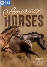 Portada de American Horses