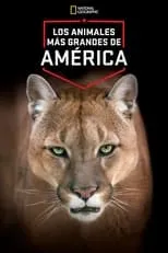 Poster de la película America's Greatest Animals - Películas hoy en TV