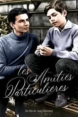 Poster de la película Amistades particulares - Películas hoy en TV