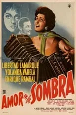 Portada de Amor en la sombra