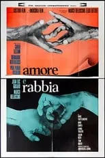 Portada de Amor y rabia