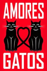 Póster de la película Amores Gatos