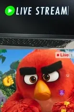 Película Angry Birds: Live Stream