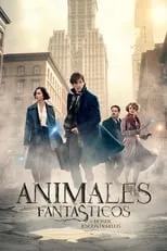 Poster de la película Animales fantásticos y dónde encontrarlos - Películas hoy en TV