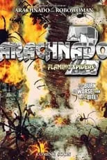 Portada de Arachnado 2: Flaming Spiders