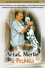 Película Artuš, Merlin a Prchlíci