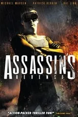 Poster de Assassins Revenge