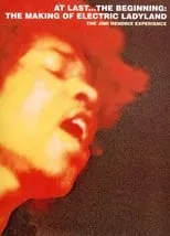 Poster de la película At Last...The Beginning: The Making of Electric Ladyland - Películas hoy en TV