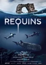 Portada de Au plus près des requins