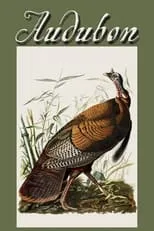 Póster de la película Audubon