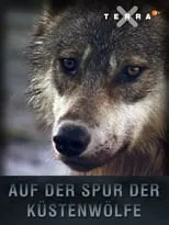 Hans-Peter Bögel es Narrator en Auf der Spur der Küstenwölfe