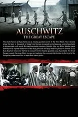 Póster de la película Auschwitz: The Great Escape