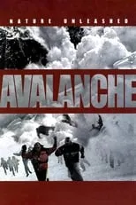 Póster de la película Avalancha