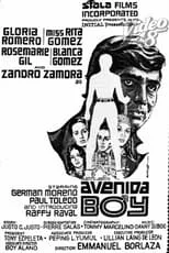 Película Avenida Boy