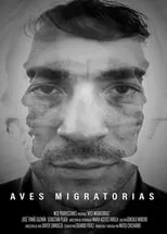 Póster de la película Aves migratorias