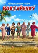 Poster de la película Babovřesky 3 - Películas hoy en TV