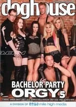 Poster de la película Bachelor Party Orgy 5 - Películas hoy en TV