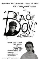 Poster de la película Bad Boy - Películas hoy en TV