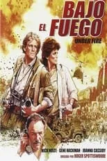 Holly Palance interpreta a Journalist en Bajo el fuego