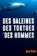 Poster de la película Ballenas, tortugas y hombres - Películas hoy en TV