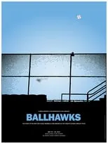 Póster de la película Ballhawks