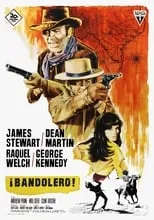 Póster de la película Bandolero