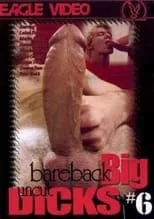 Poster de la película Bareback Big Uncut Dicks 6 - Películas hoy en TV