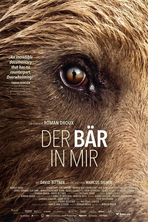 Póster de la película Bear-Like