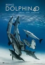 Póster de la película Being Dolphin 4D