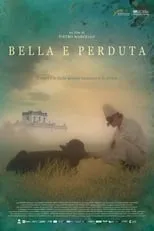 Poster de Bella y perdida