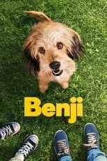 Poster de la película Benji - Películas hoy en TV