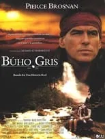 Película Búho Gris