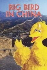 Poster de la película Big Bird in China - Películas hoy en TV