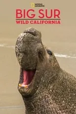 Portada de Big Sur-Wild California