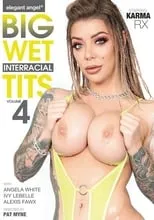 Póster de la película Big Wet Interracial Tits 4