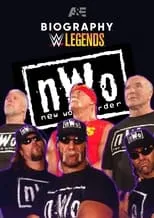 Poster de Biography: nWo