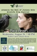 Película Bird Brain