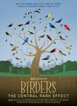 Película Birders: The Central Park Effect