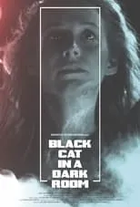 Poster de la película Black Cat in a Dark Room - Películas hoy en TV