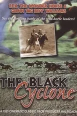 Lady the Horse es Lady en Black Cyclone