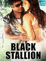 Póster de la película Black Stallion